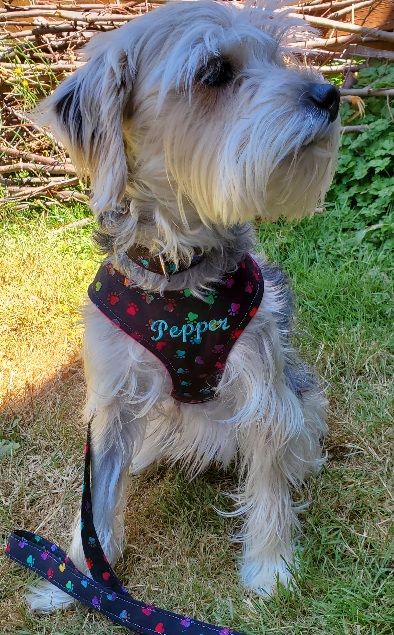 View more about Pampered Pepper